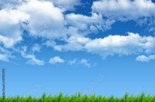 Photo: Green grass with beautiful blue sky Green grass with beautiful blue sky