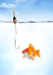 Danger Poisson Rouge