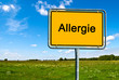 Ortsschild Allergie