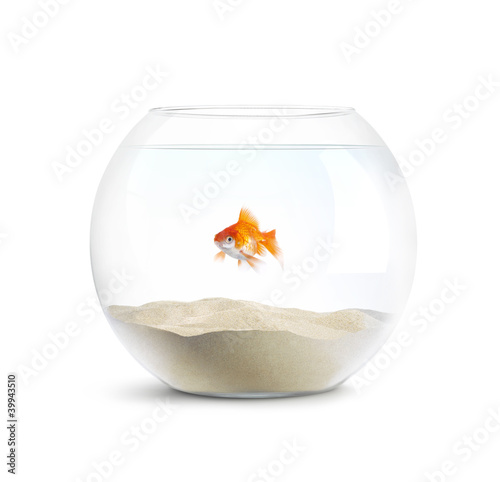 Photo: Solitude Poisson Rouge Solitude Poisson Rouge