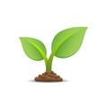 Tree icon