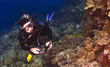 Diver checking out the Coral in Kona Hawaii