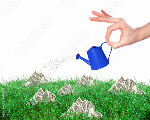 Illustration: Human hand watering money tree Human hand watering money tree
