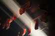 drying meat to smoke