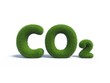co2 green grass in the form of letters