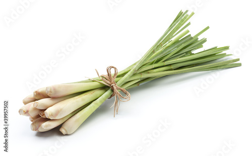 Photo: lemon grass lemon grass