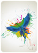 Vector: Parrot Parrot