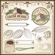 Cocoa Fair Trade
