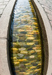 small canal in freiburg