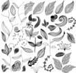set of leaf vector set of leaf vector