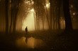 man in a forest reflecting in a pond after rain