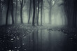 pond in a forest with fog