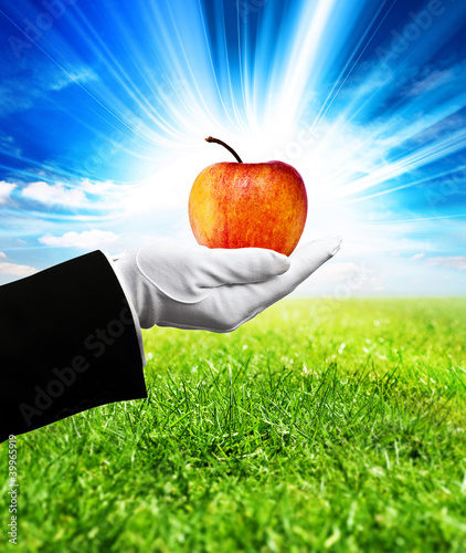 Foto: organic apple organic apple