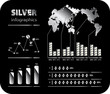 Infographics in silver style vector