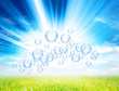sunlight bubbles