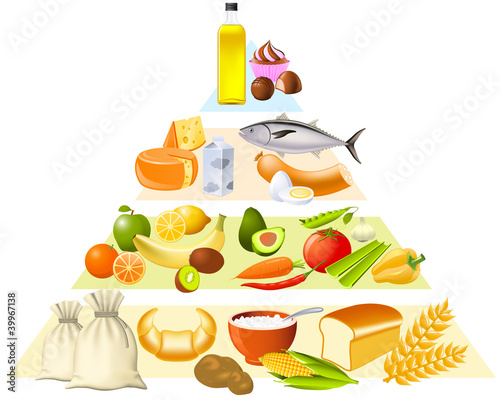 Vector: Food pyramid Food pyramid
