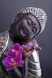 Bouddha et Sérénité