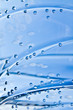 Bottle of water