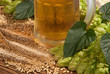 glass of beer