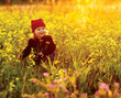 happy girl with field flowers happy girl with field flowers