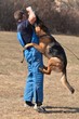dog training