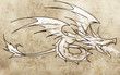 Sketch of tattoo art, dragon line drawing