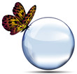 Sfera con farfalla