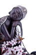 Bouddha et Sérénité