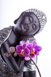 Bouddha et Sérénité