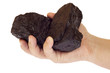 coal, carbon nuggets in hand isolated