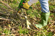 Gartenarbeit, Baumschnitt, Gartensaison, Motorsäge