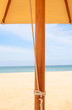 Tropical Beach