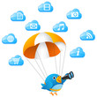 Blue bird searching on cloud