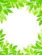 新緑