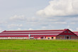 Modern buildings cattle farm