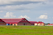 Modern buildings cattle farm