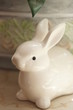 Porzellanhase