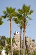 Belfry behind Palm Trees, Alicante, Spain