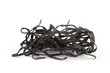 Photo: Seaweed Irish Spaghetti Seaweed Irish Spaghetti