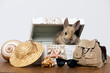 Foto: Urlaubsstimmung Urlaubsstimmung