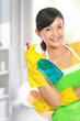 woman holding sprayer cleaning tool