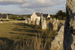 France Bretagne Pointe de Pen Hir Dolmens (13)