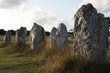France Bretagne Pointe de Pen Hir Dolmens (22)