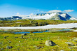 Norway landscape.