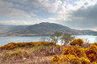 Irish scenery in Co. Mayo, Ireland