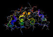 Insulin 3D molecular model