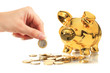 Business investment. Business investment.
