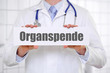Organspende