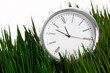 Clock and green grass