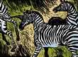 Zebras